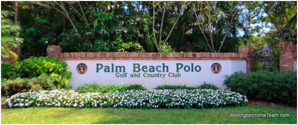 Palm beach 4